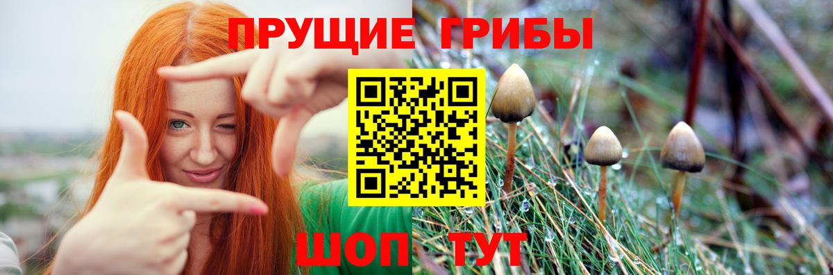 наркошоп  Вход с VPN  Псилоцибиновые грибы прущие грибы  Нерюнгри  Псилоцибиновые грибы мухоморы 